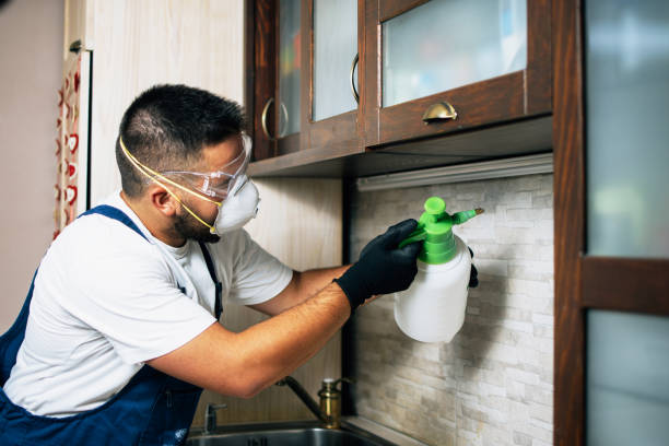 Best Best Pest Control Companies  in Brooklet, GA