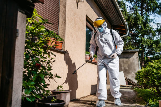 Best Bed Bug Extermination  in Brooklet, GA