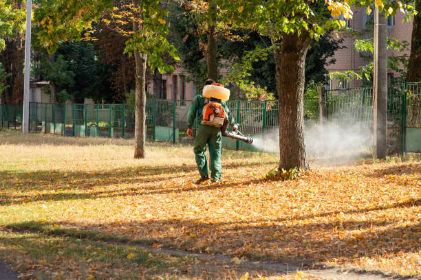 Best Exterminator Services  in Brooklet, GA