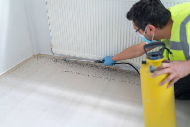 Professional Pest Control in Brooklet, GA